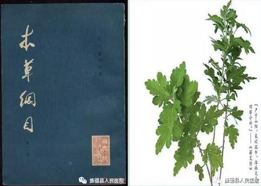 毒月將至，艾灸為您保駕護航